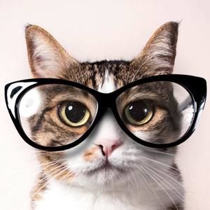 Meet your Posher, Lydia